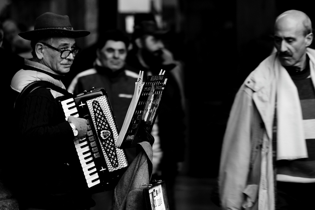 accordion-player