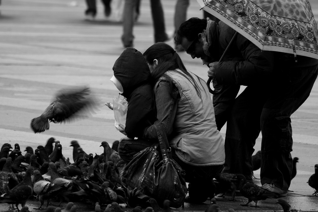 family-feeding-families