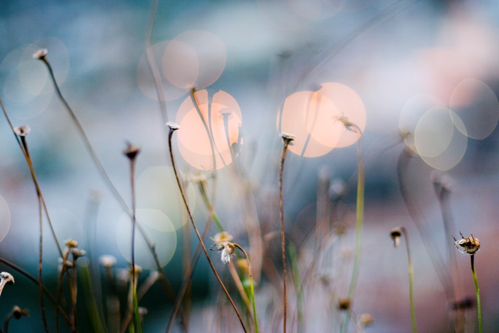 impressions-at-dawn