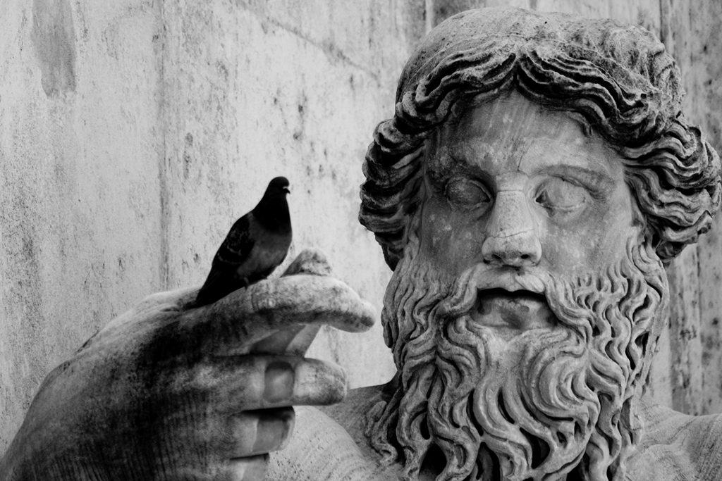 rome-statue-and-bird